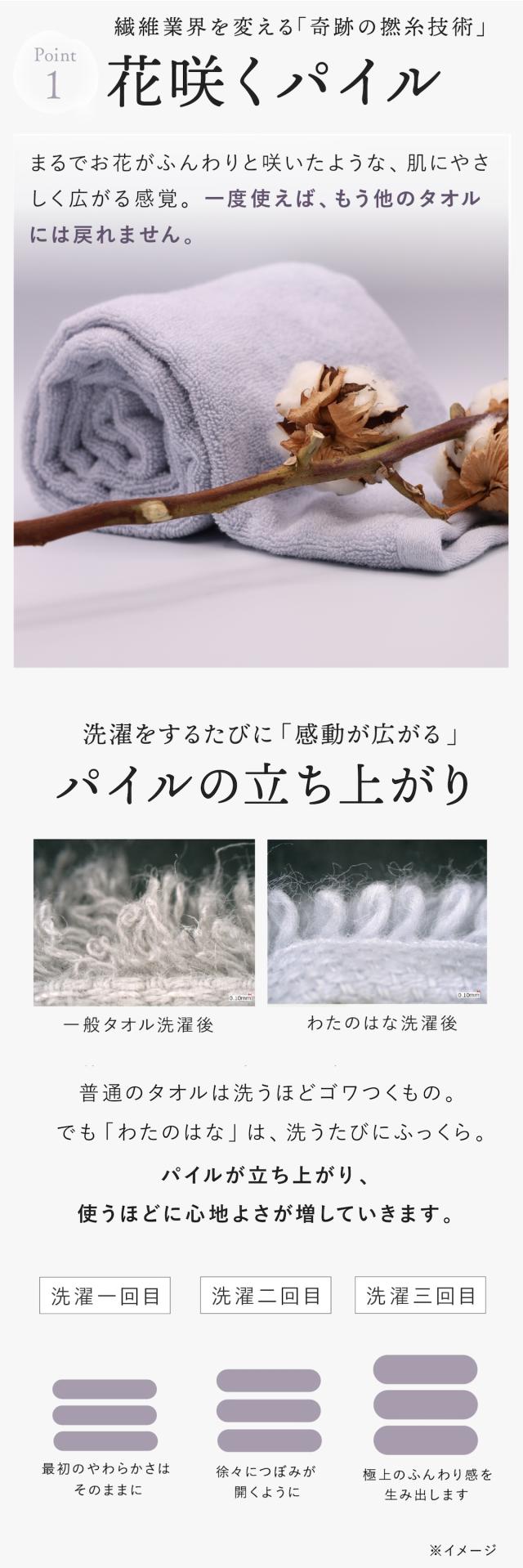 わたのはな no2 lp08