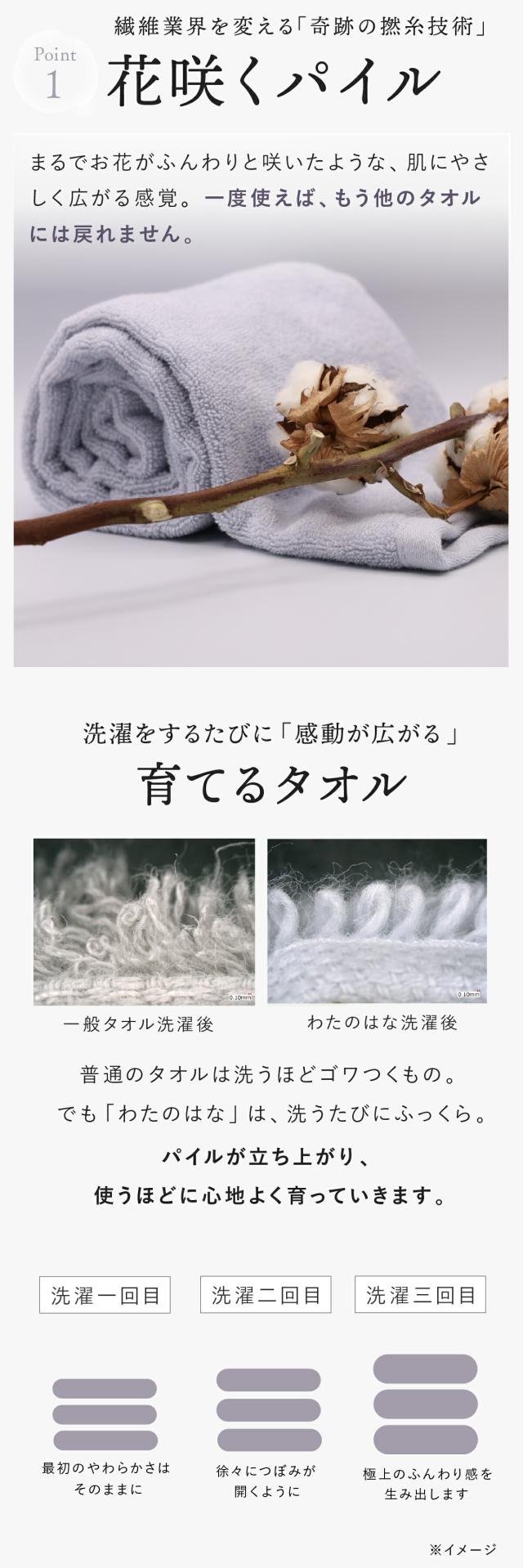 わたのはな no2 lp08