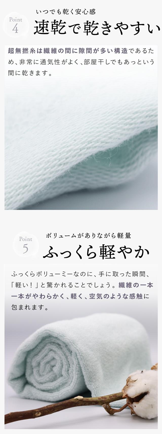 わたのはな no2 lp11