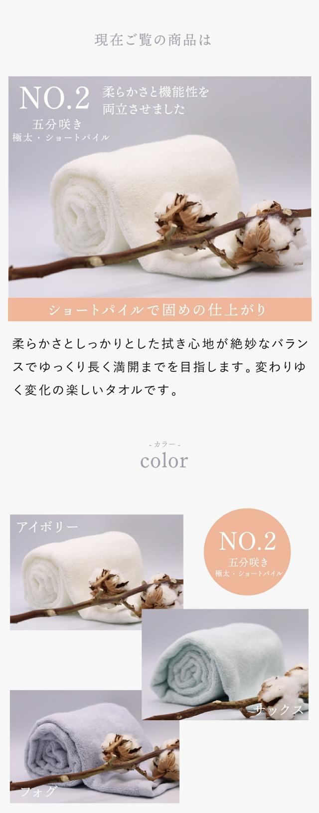 わたのはな no2 lp17