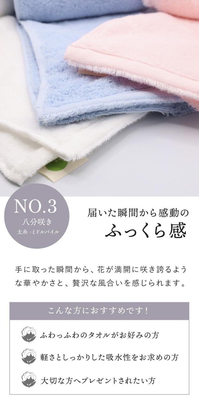 わたのはな no3 lp06