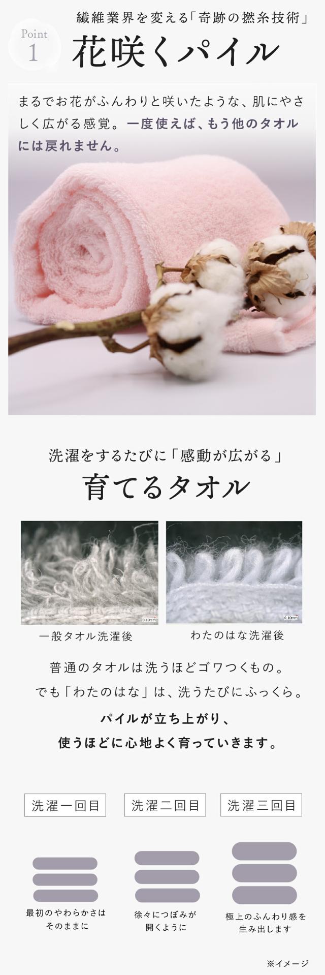 わたのはな no3 lp08