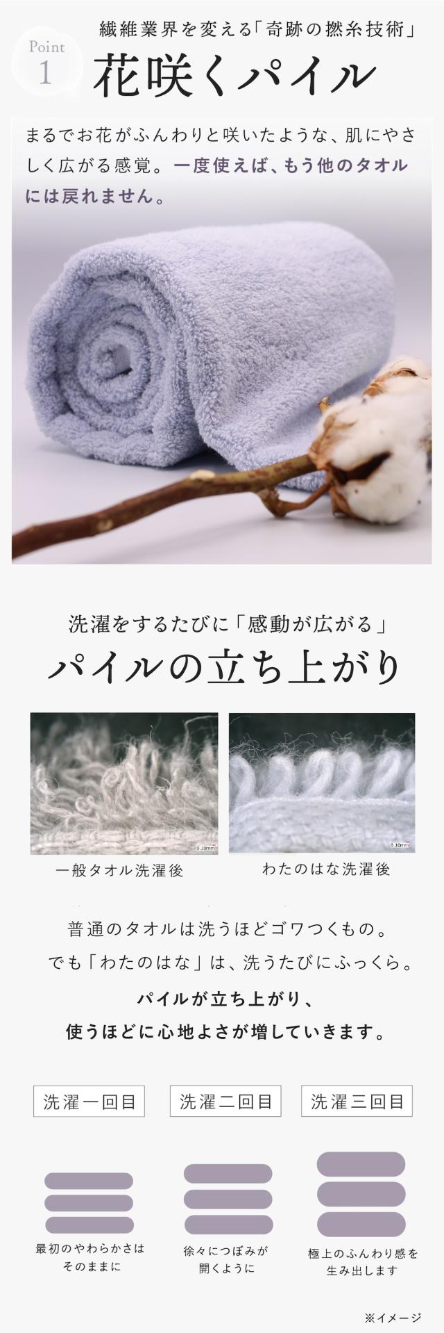 わたのはな no4 lp08