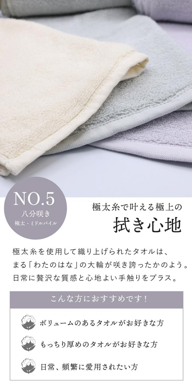 わたのはな no6 lp06