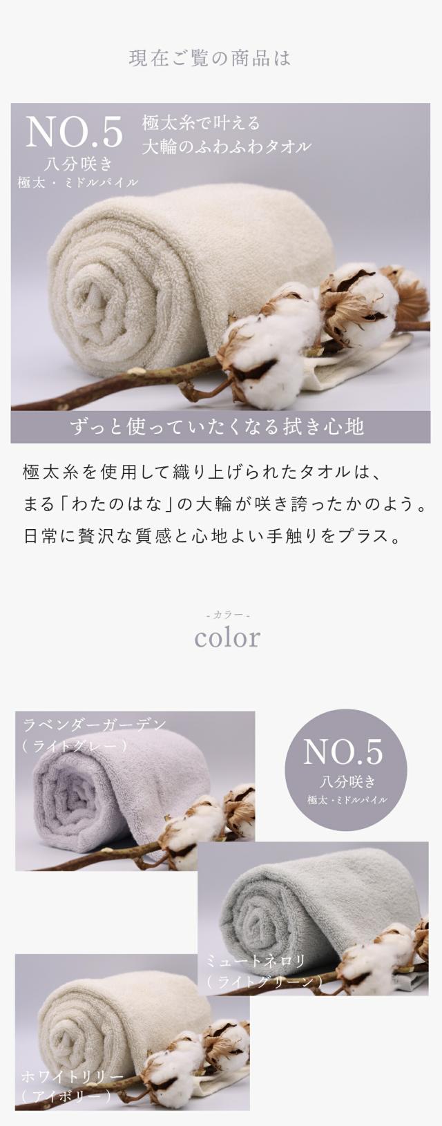 わたのはな no5 lp17