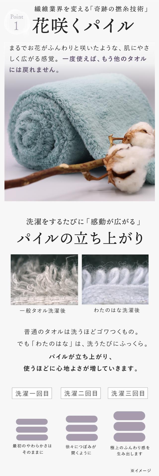 わたのはな no6 lp08