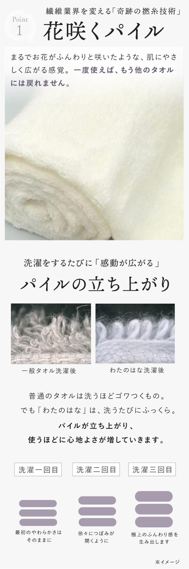 わたのはな no7 lp08