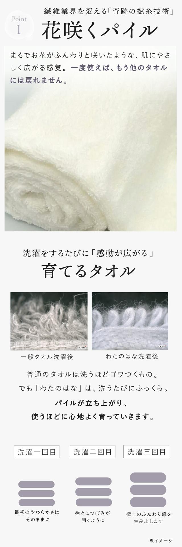 わたのはな no7 lp08