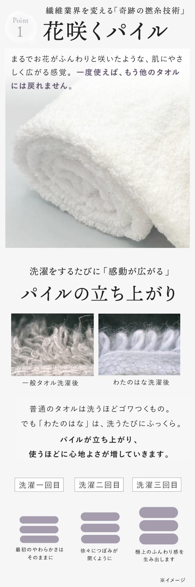 わたのはな no8 lp08