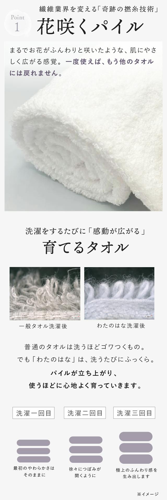 わたのはな no8 lp08