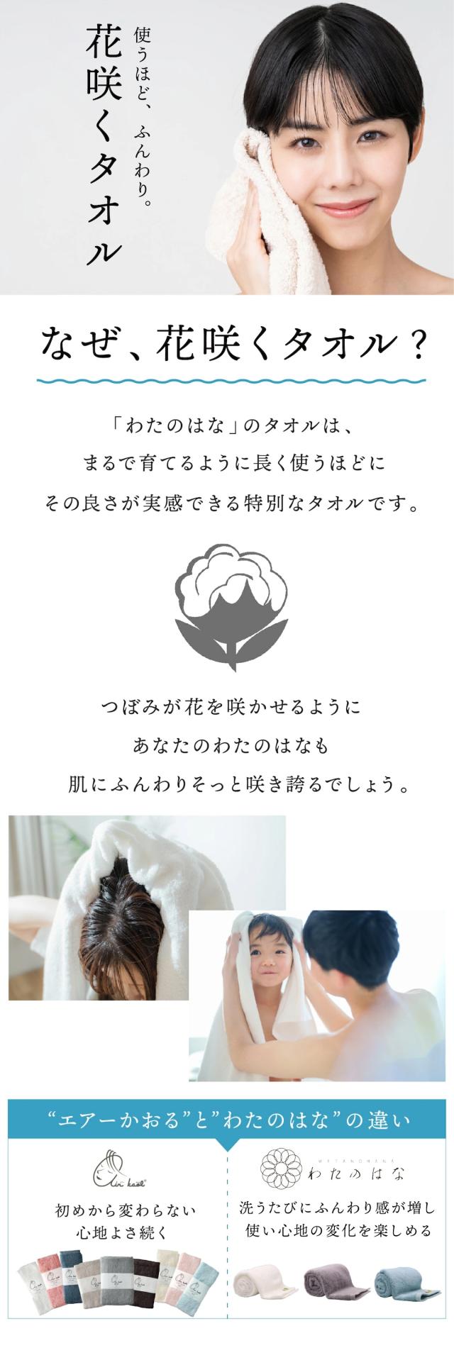 わたのはな 共通 lp03