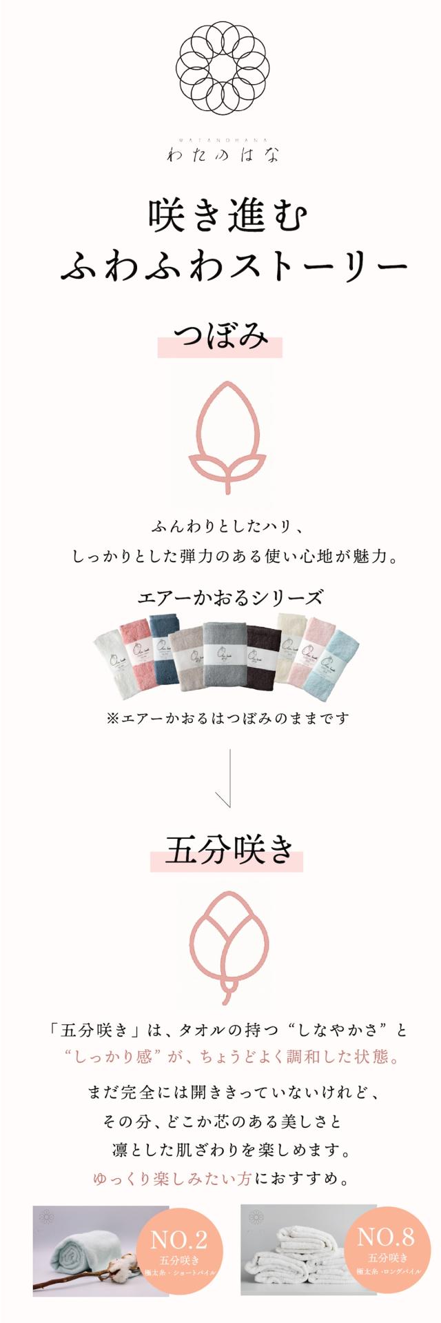 わたのはな 共通 lp04