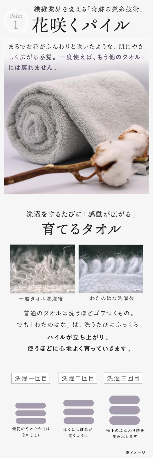 わたのはな no6 lp08