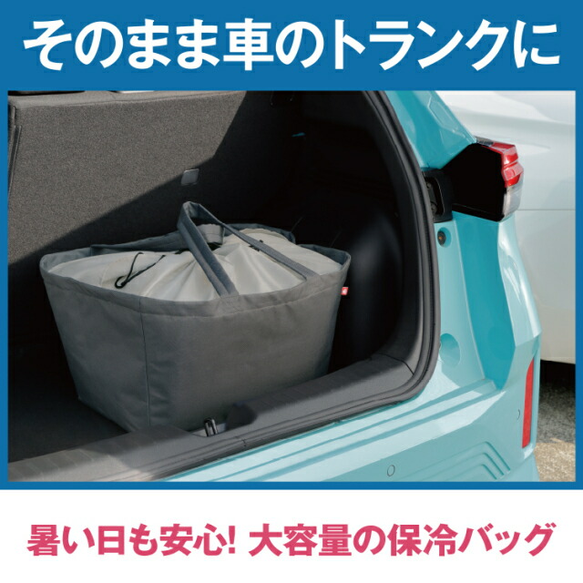 レジカゴすっぽり保冷バッグ lp09