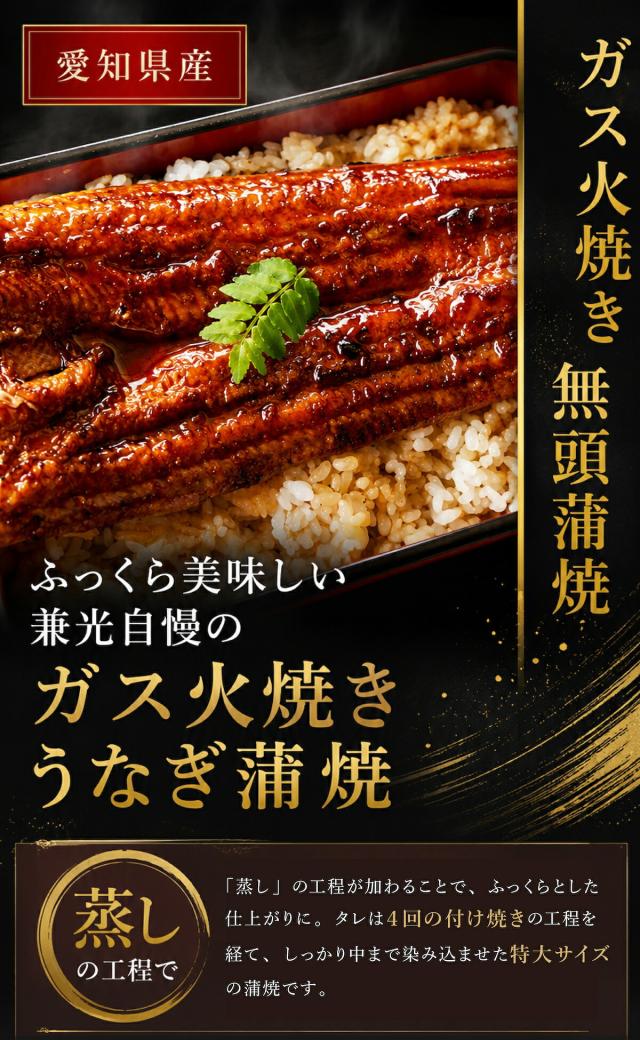 うなぎ蒲焼き lp02