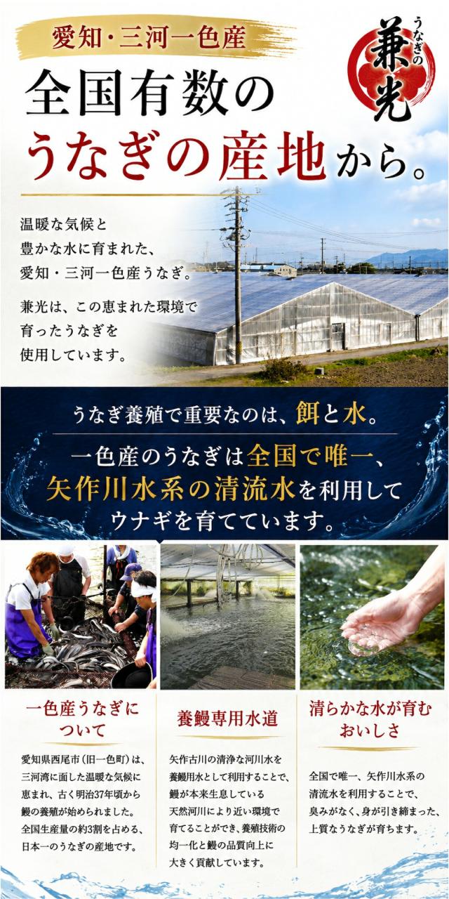 うなぎ蒲焼き lp08