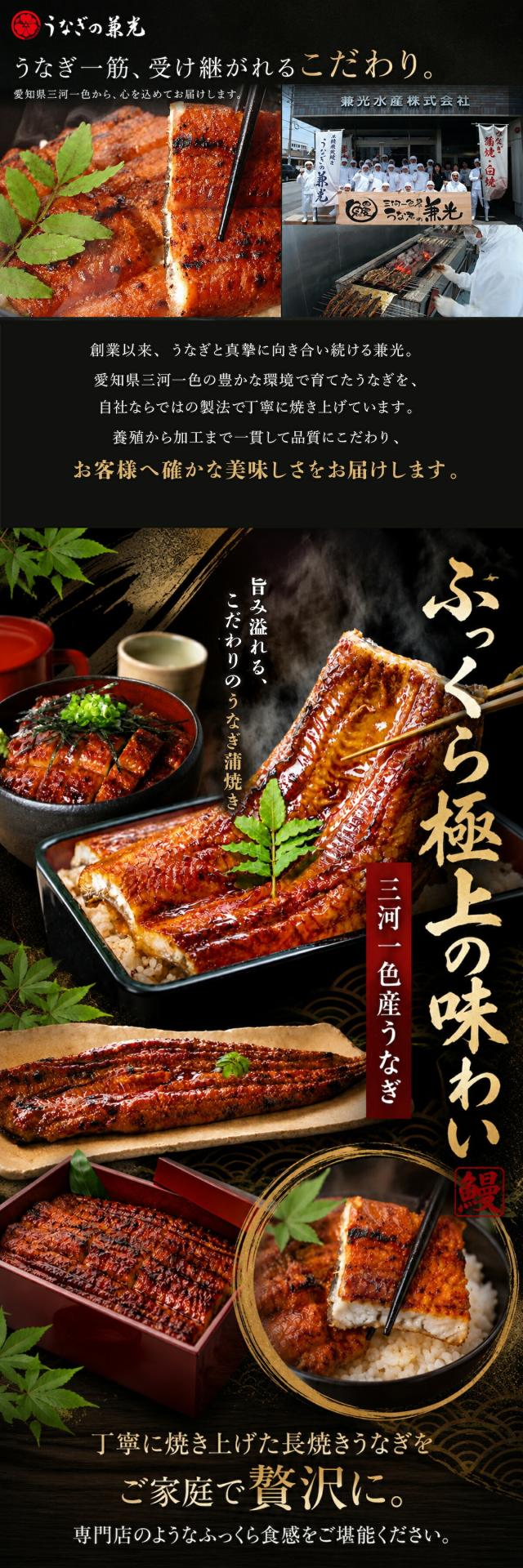うなぎ蒲焼き lp11