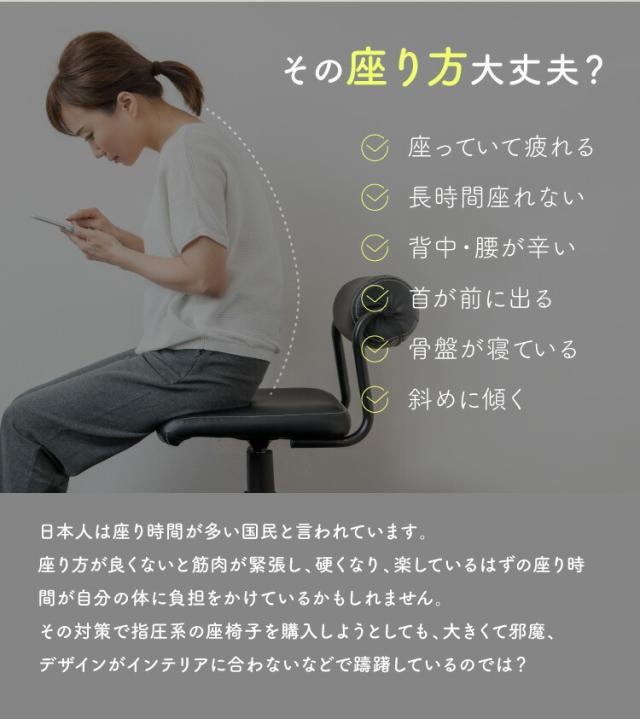 からだスッキリ座椅子 ホグレッシュ lp04