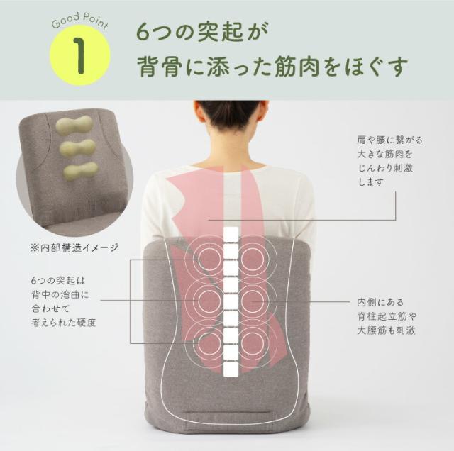 からだスッキリ座椅子 ホグレッシュ lp06