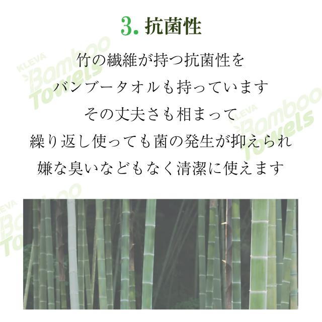 クレバー バンブータオル lp08