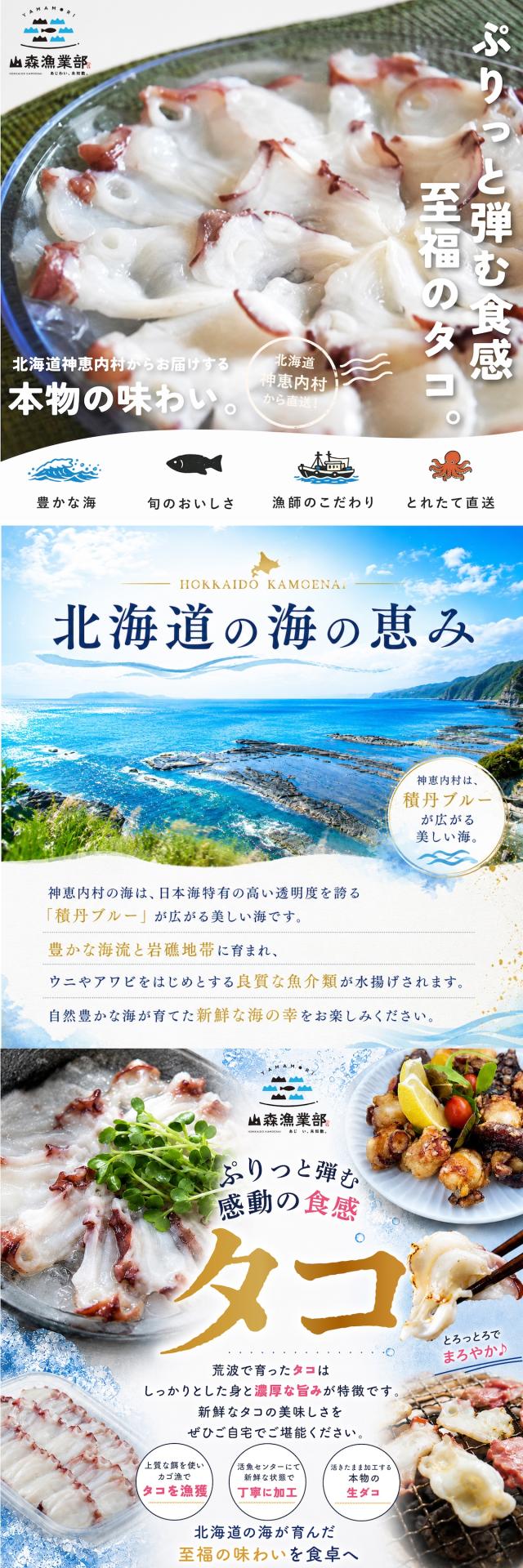 水タコ lp01