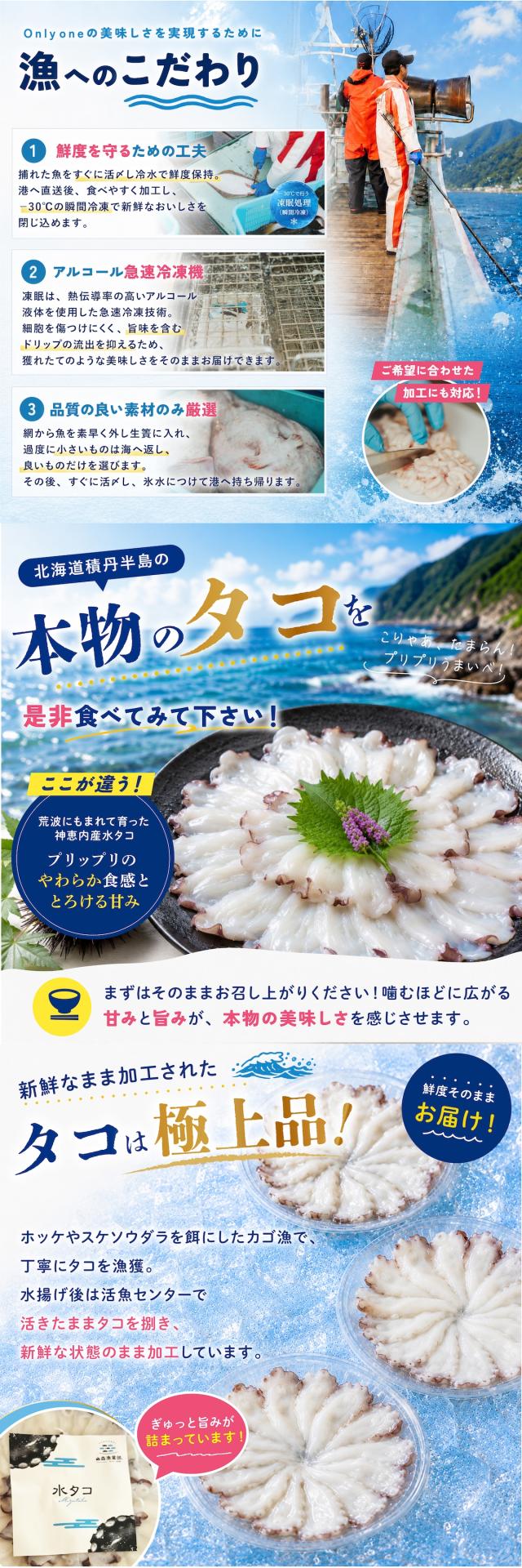 水タコ lp03
