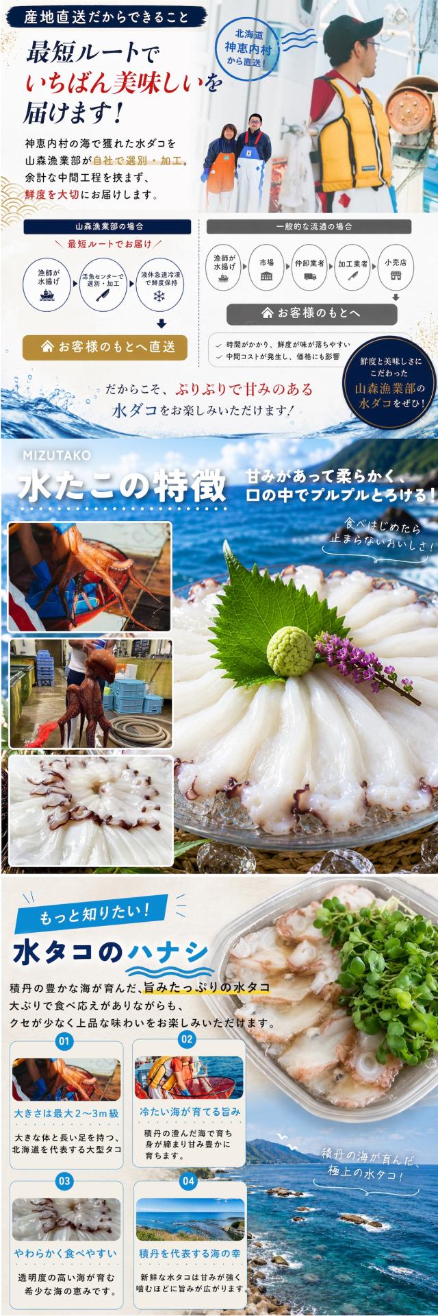 水タコ lp04