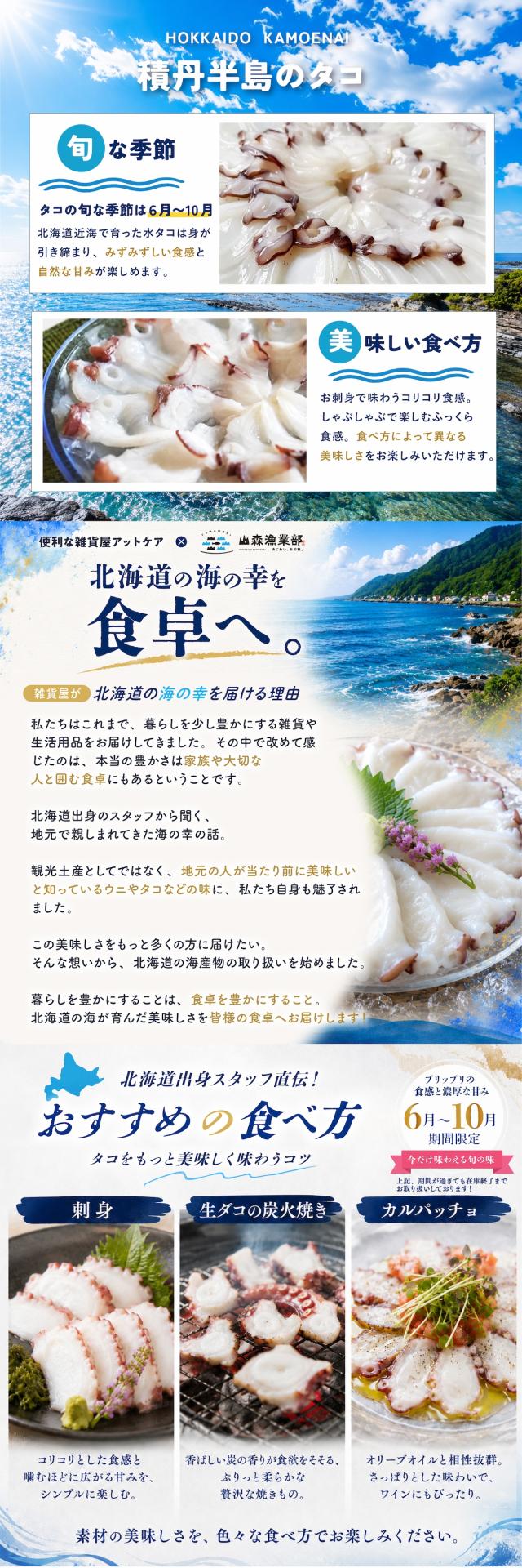 水タコ lp05