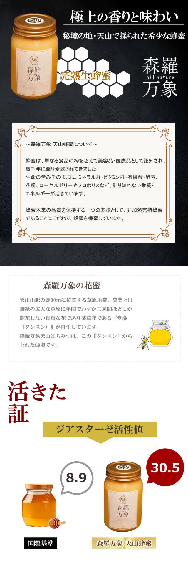 当日/翌日配送 森羅万象 天山蜂蜜 600g【365日ヤマト倉庫出荷】 完熟非