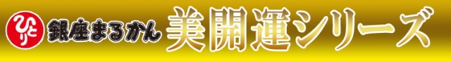 美開運リップライナー ポイントメイク 銀座まるかん 唇のくすみを