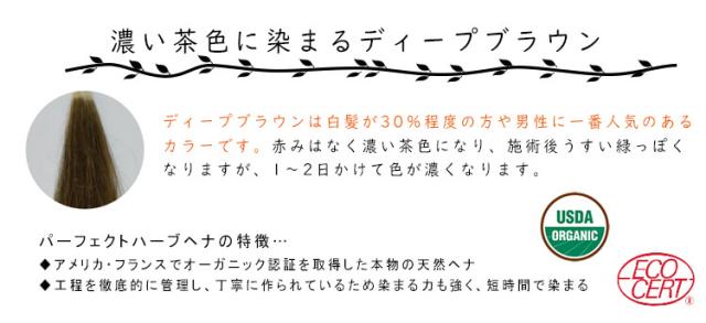 パーフェクトハーブヘナ 