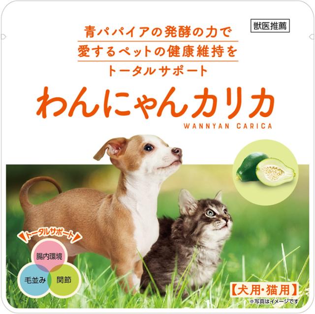 わんにゃんカリカ