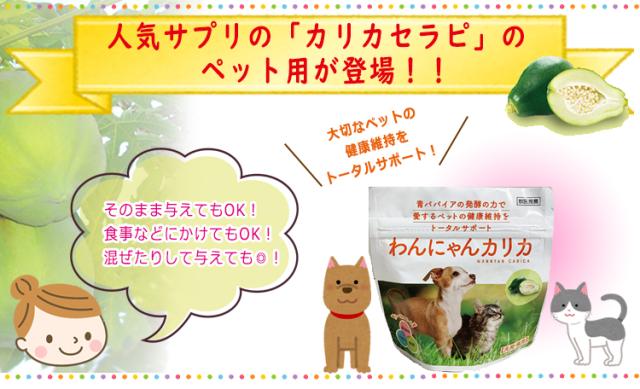 わんにゃんカリカ