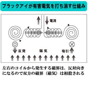 丸山式コイルブラックアイ