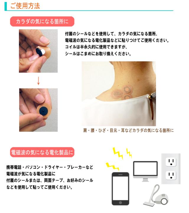 丸山式コイルブラックアイ