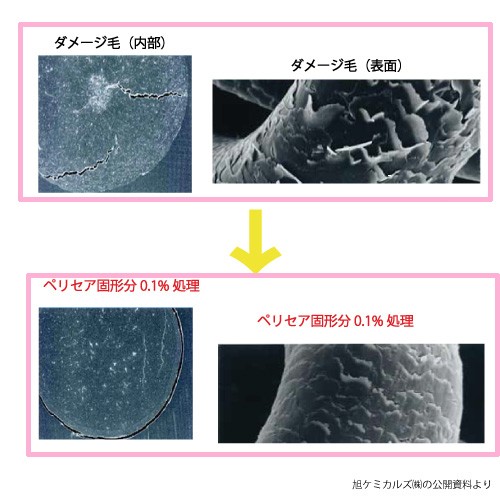 サクラントリートメントカラー