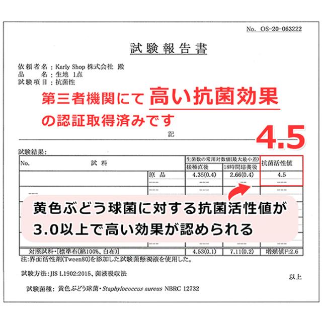 シルク100％Tバックショーツ