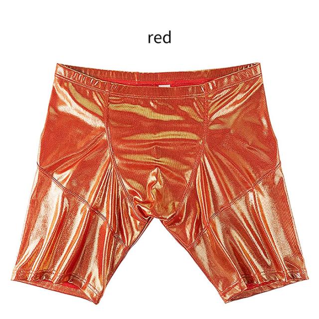 圧倒的存在感！視線釘付けキラキラ輝く個性派ロングボクサー