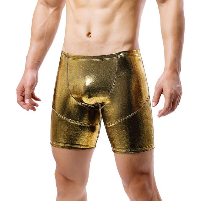 圧倒的存在感！視線釘付けキラキラ輝く個性派ロングボクサー