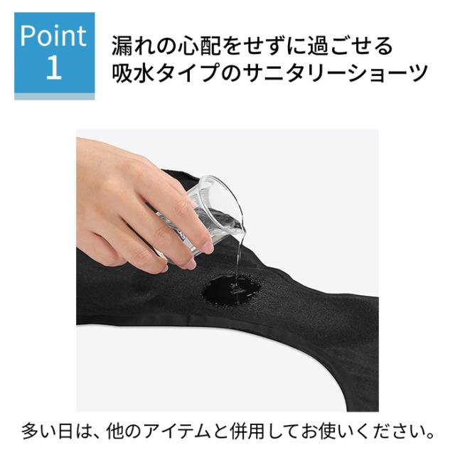 【送料無料】 多い日も安心 吸収型レギュラーショーツ