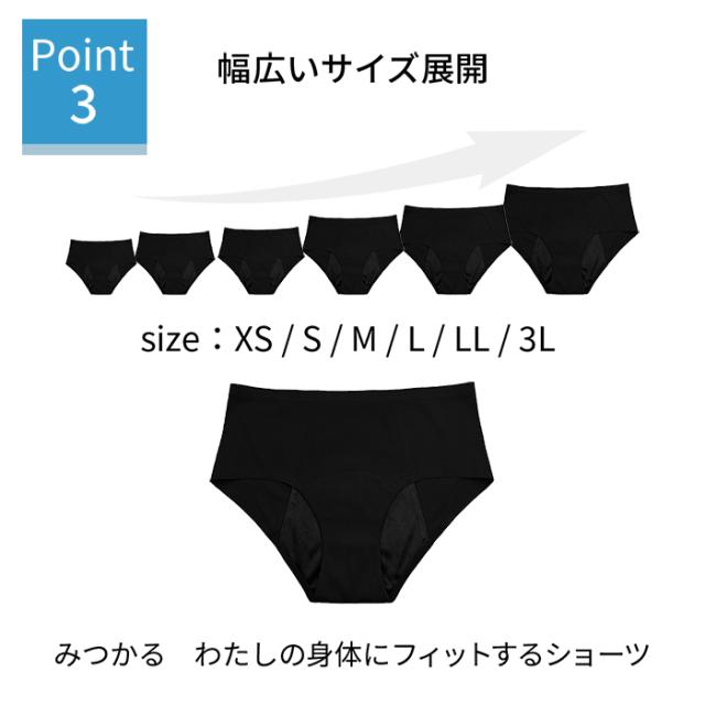 【送料無料】 多い日も安心 吸収型レギュラーショーツ