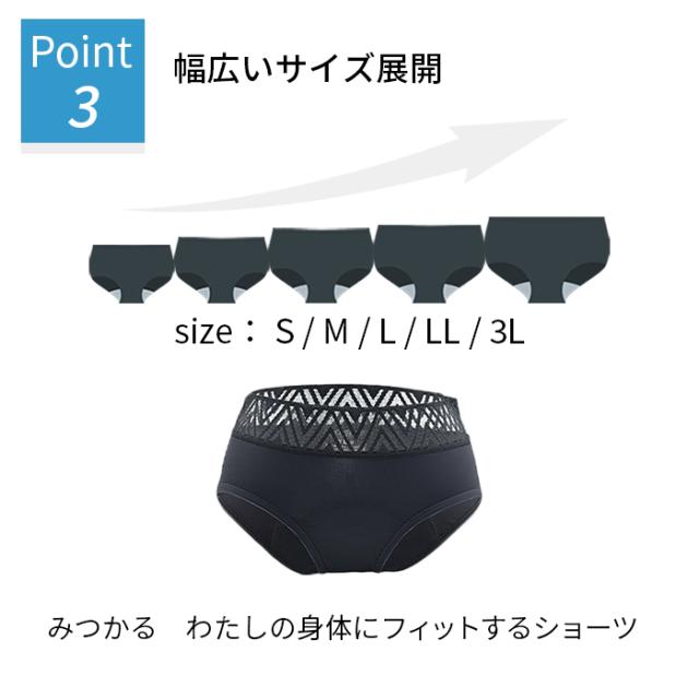 多い日も安心 吸収型サニタリーショーツ