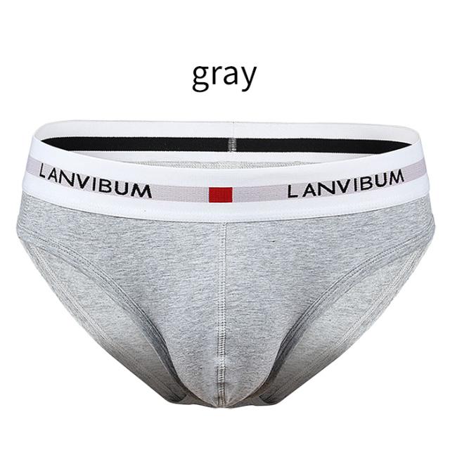 【送料無料】綿混素材で快適 シンプルメンズブリーフパンツ