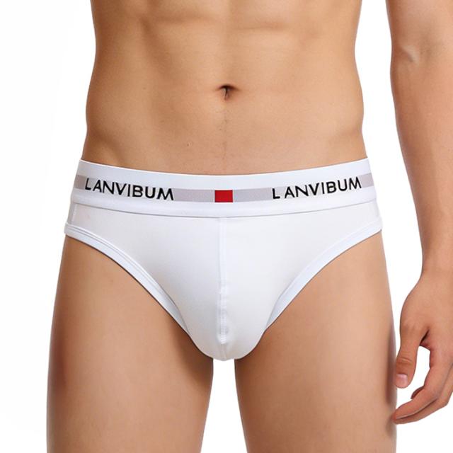 【送料無料】綿混素材で快適 シンプルメンズブリーフパンツ