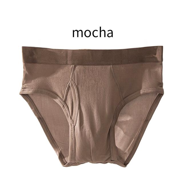 【送料無料】シルク100％でなめらか メンズシルクブリーフ