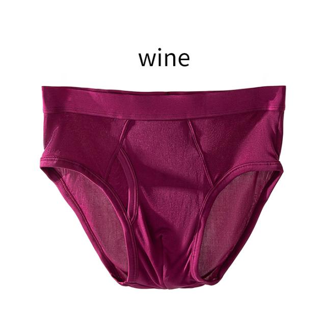 【送料無料】シルク100％でなめらか メンズシルクブリーフ