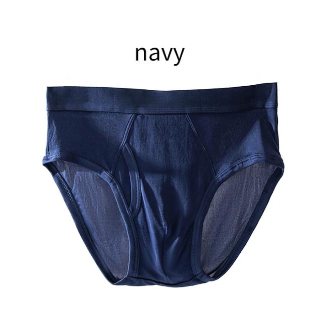 【送料無料】シルク100％でなめらか メンズシルクブリーフ