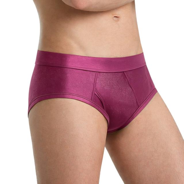 【送料無料】シルク100％でなめらか メンズシルクブリーフ