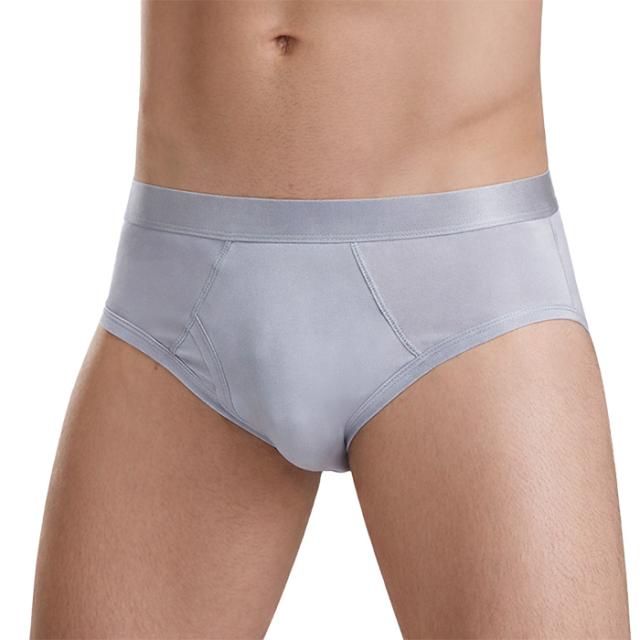 【送料無料】シルク100％でなめらか メンズシルクブリーフ