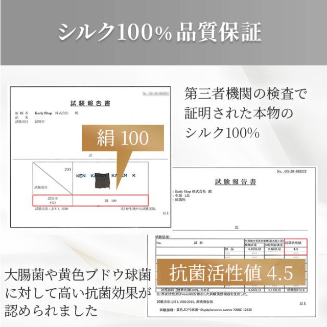 【送料無料】シルク100％でなめらか メンズシルクブリーフ